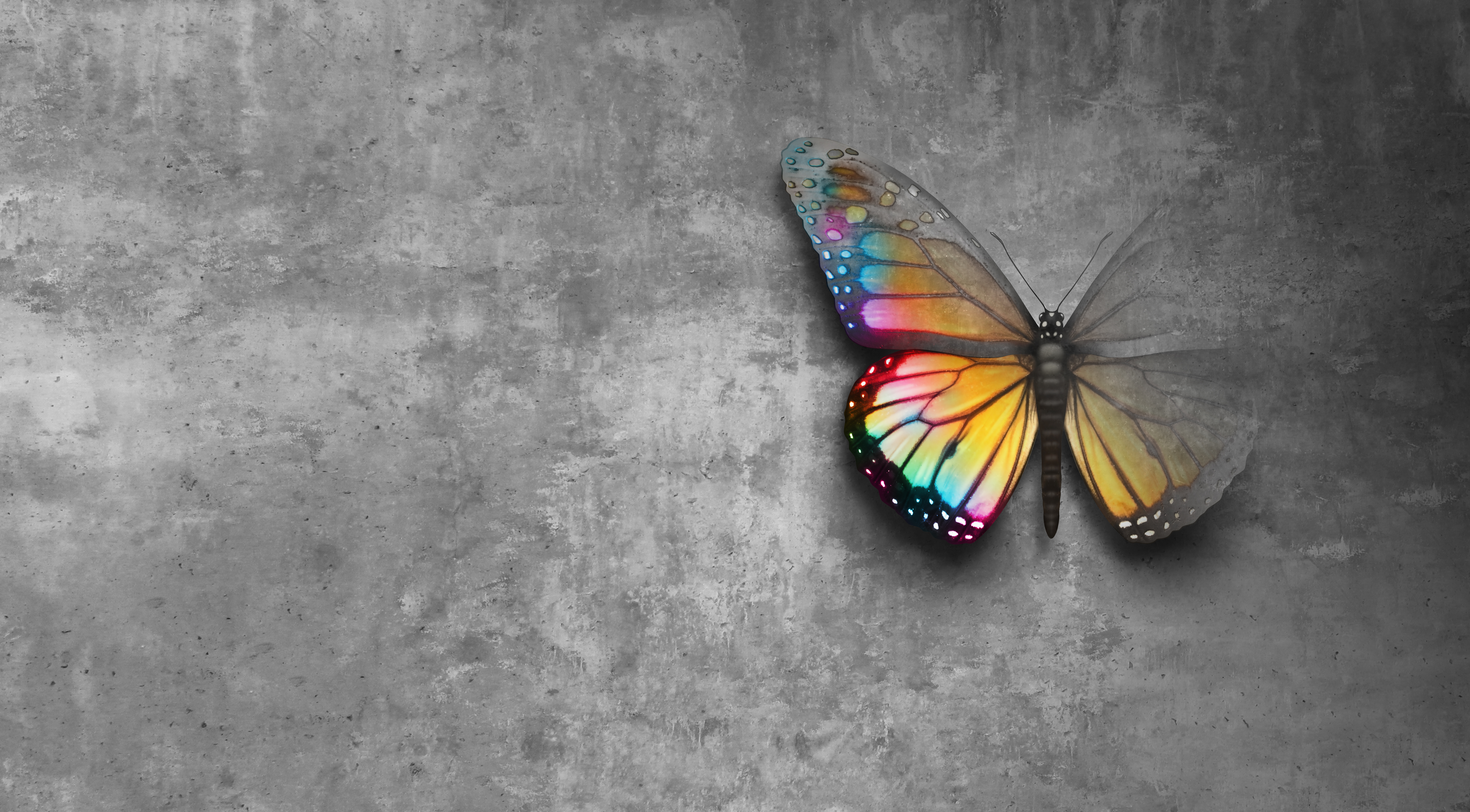 Course cover image for Trauma-Informed Practices