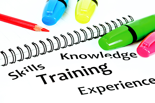 Graphic depicting skills, training, knowledge, experience