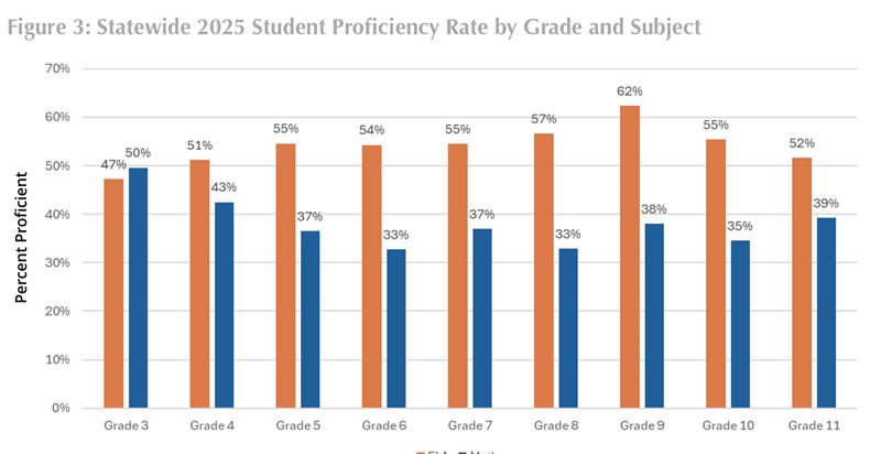 Figure 3: Statewide 2025 Student Proficiency Rate by Grade and Subject